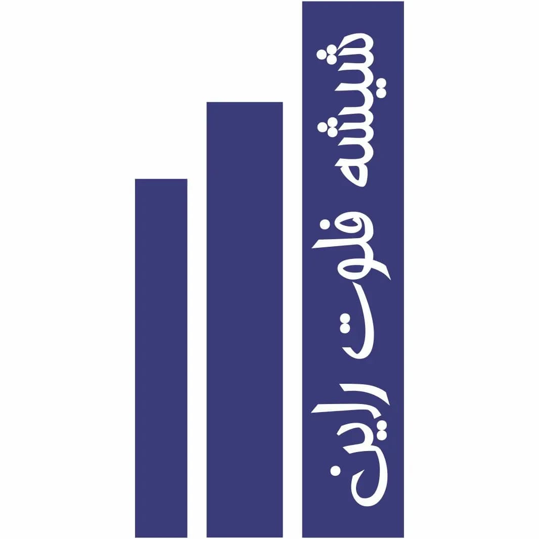 فلوت راين