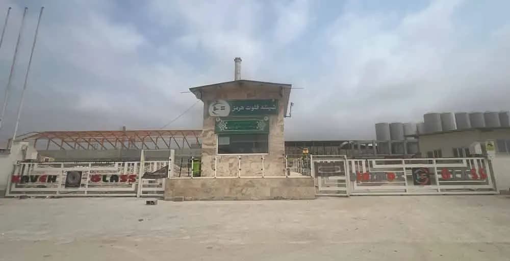 فلوت هرمز-سردر